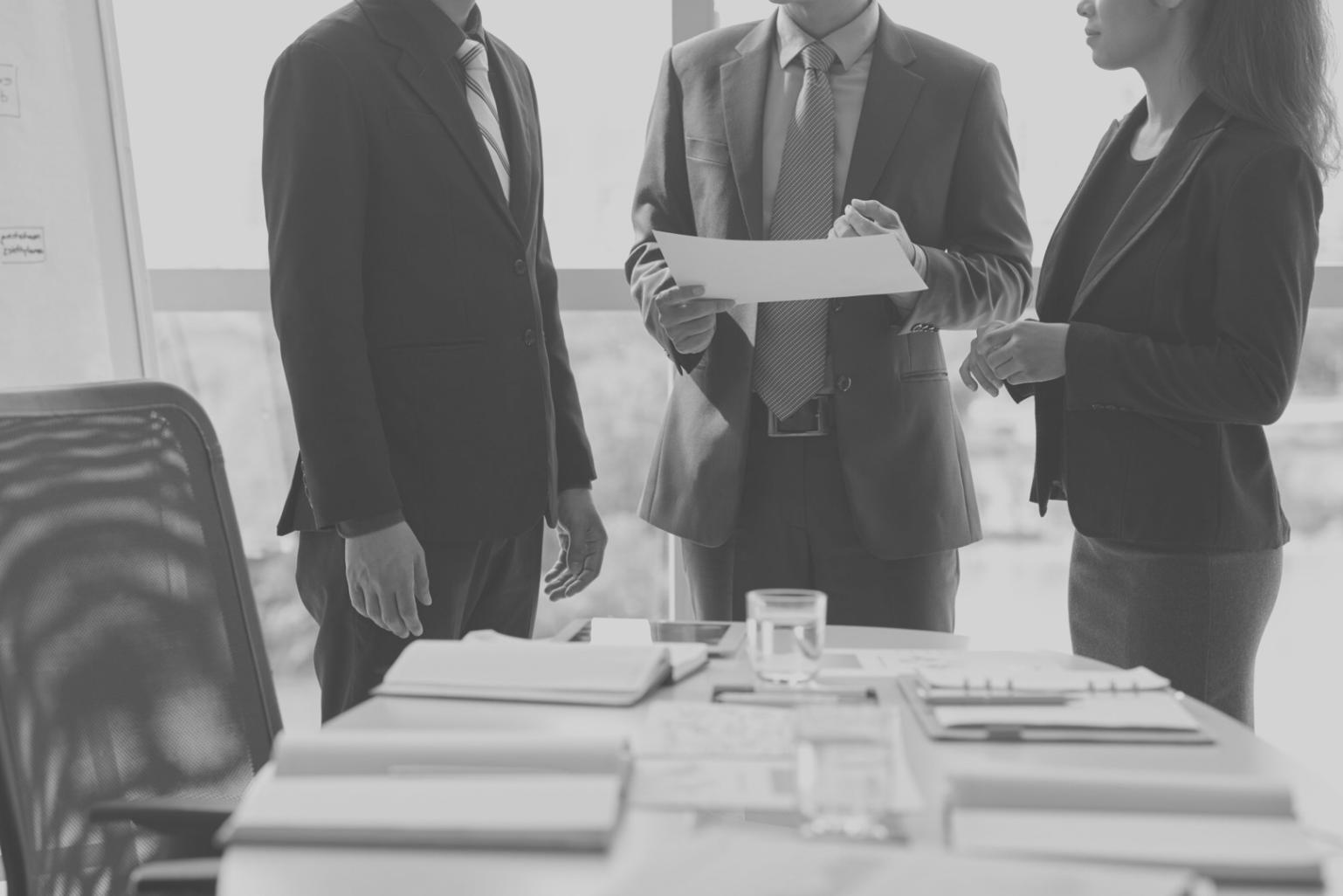 Projektbudget-Workshop mit Teilnehmern